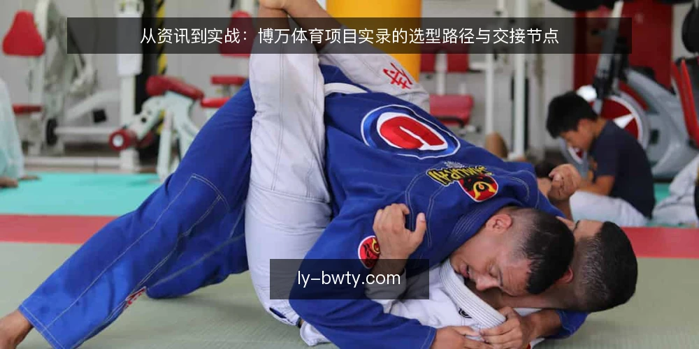 从资讯到实战：博万体育项目实录的选型路径与交接节点 — 选型前：先厘清决策边界 配图