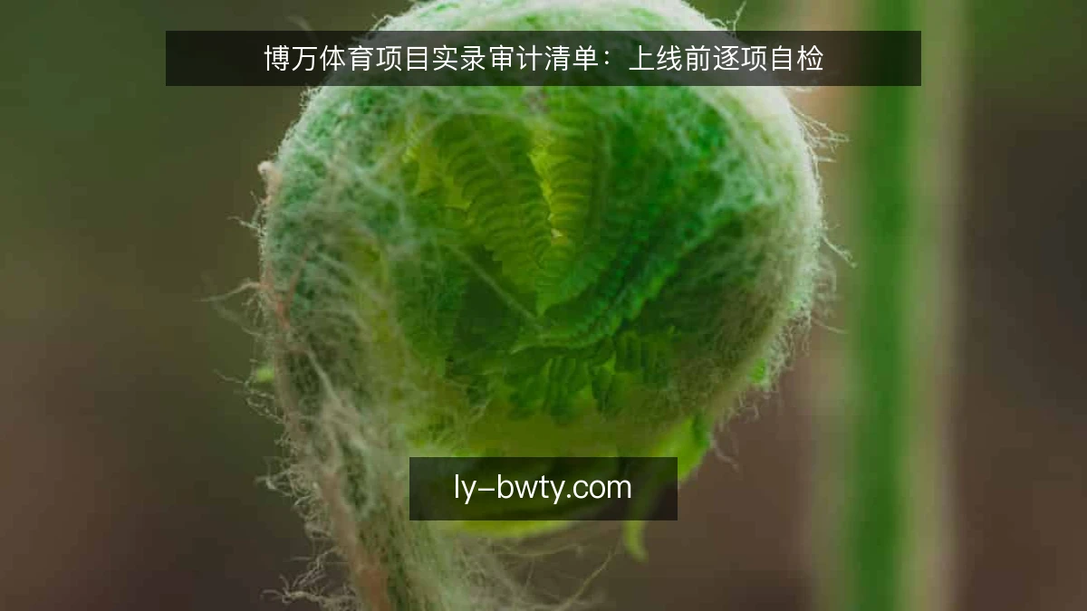 博万体育项目实录审计清单：上线前逐项自检